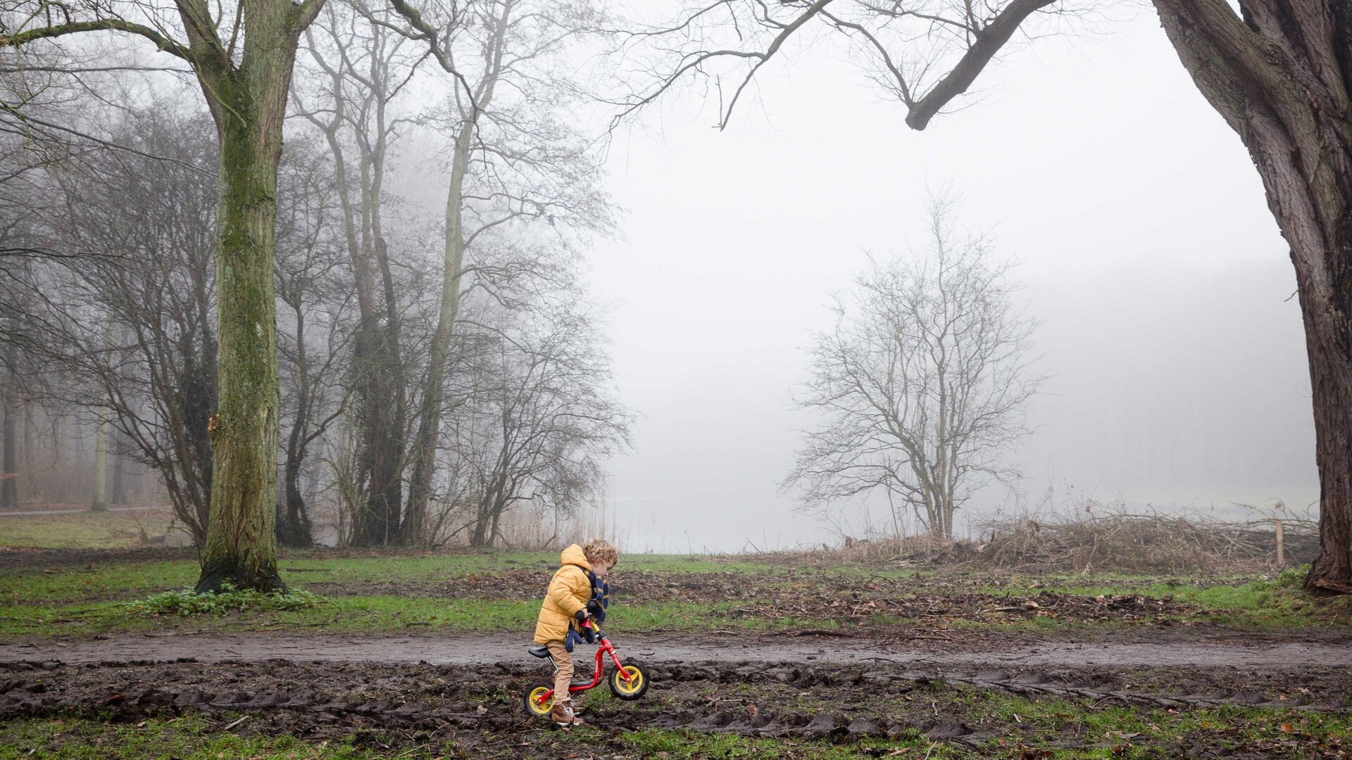 foto natuur en leefomgeving
